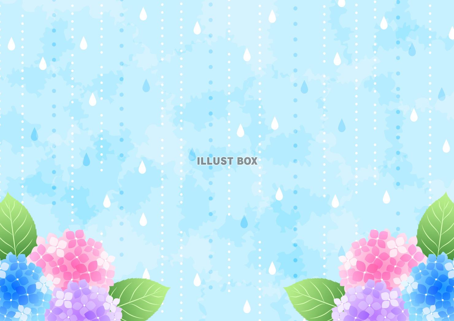 あじさい、梅雨、水彩、しずく、風景、横