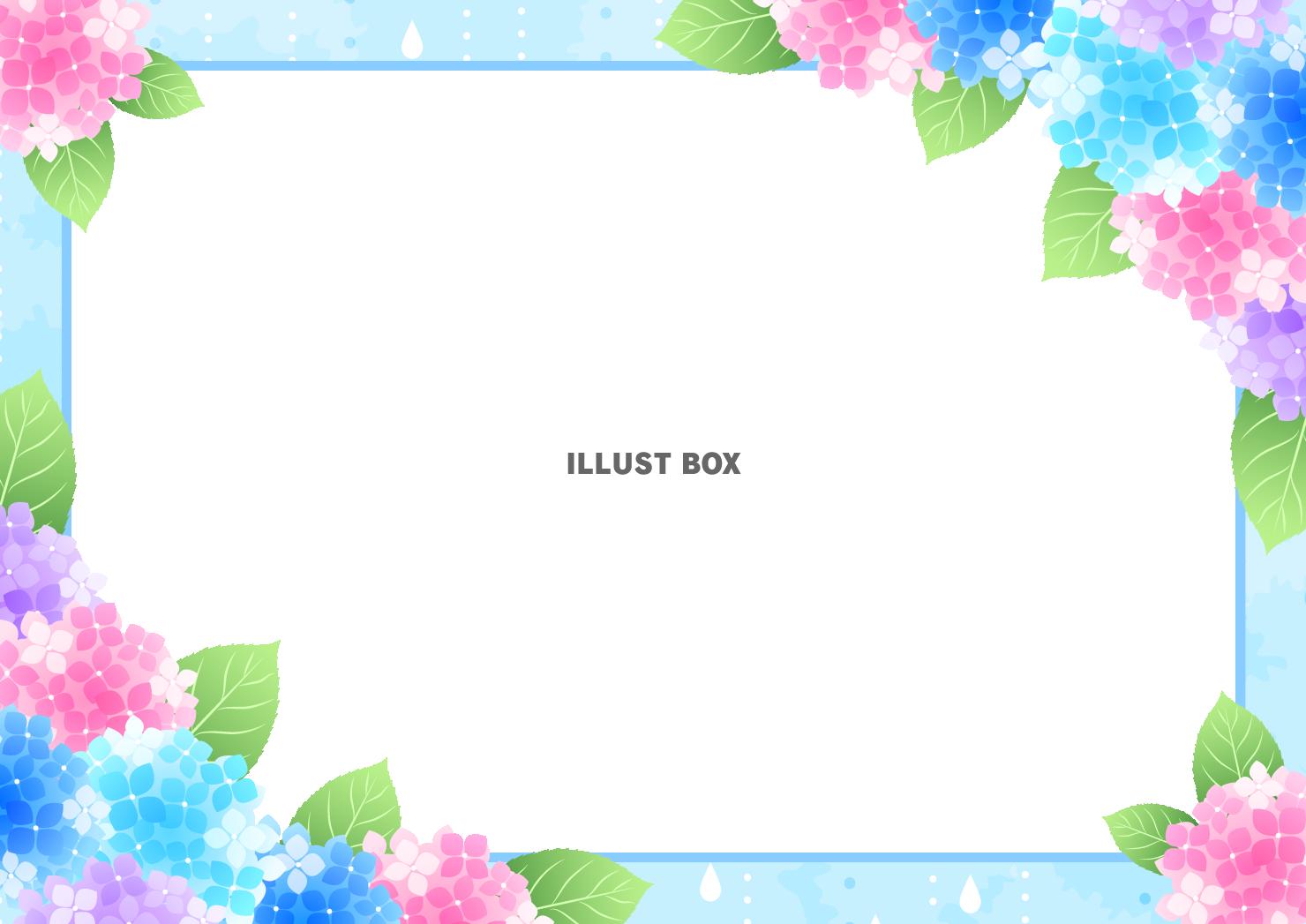 あじさい、梅雨、枠、対角囲み、横