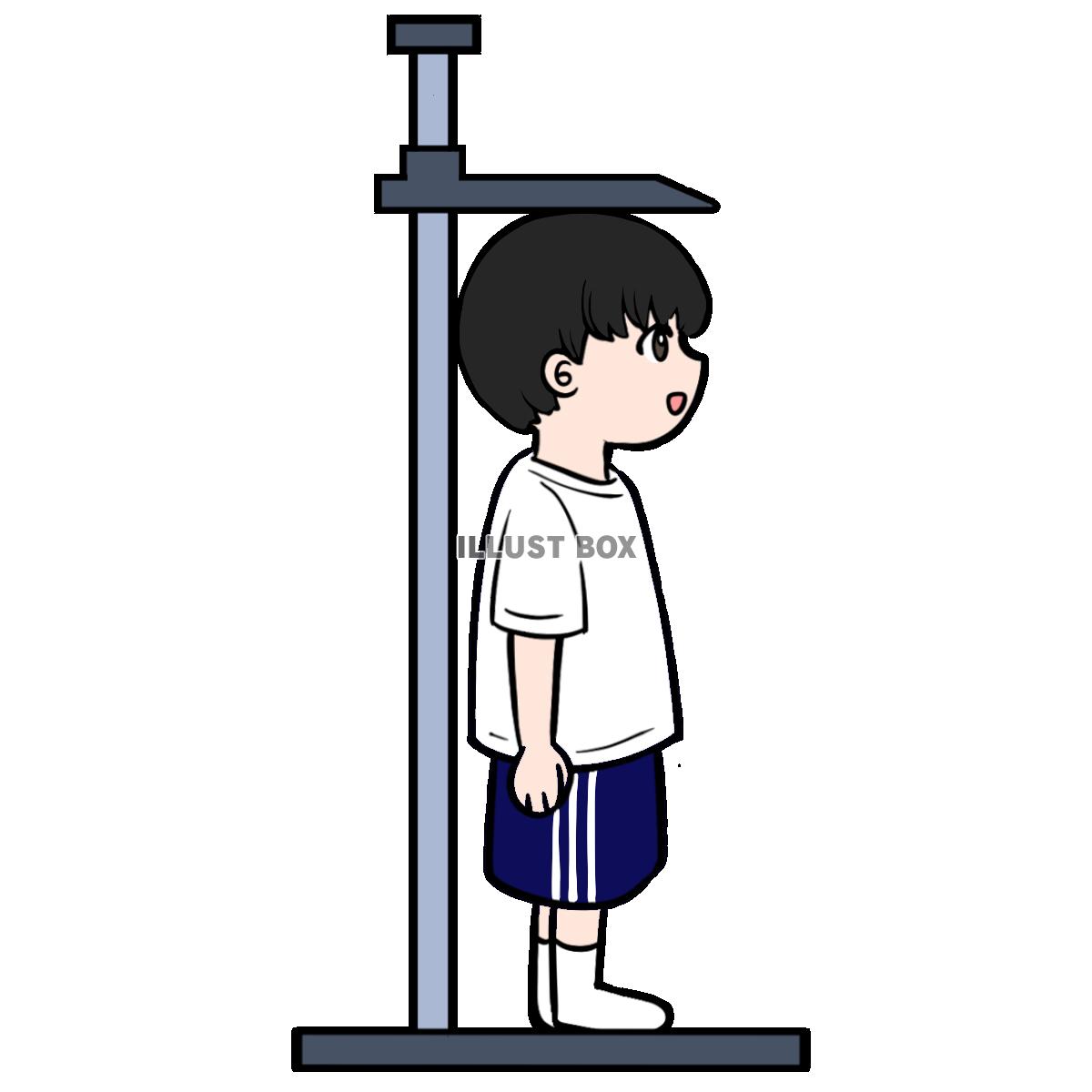 身体測定をする男の子