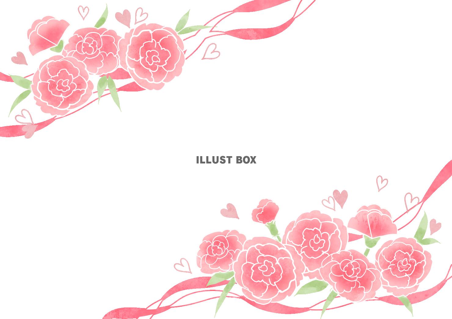 カーネーションフレーム1（リボン）