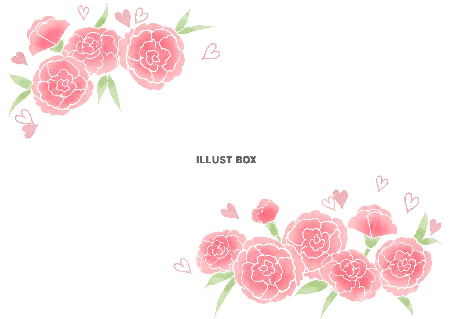 カーネーションフレーム1