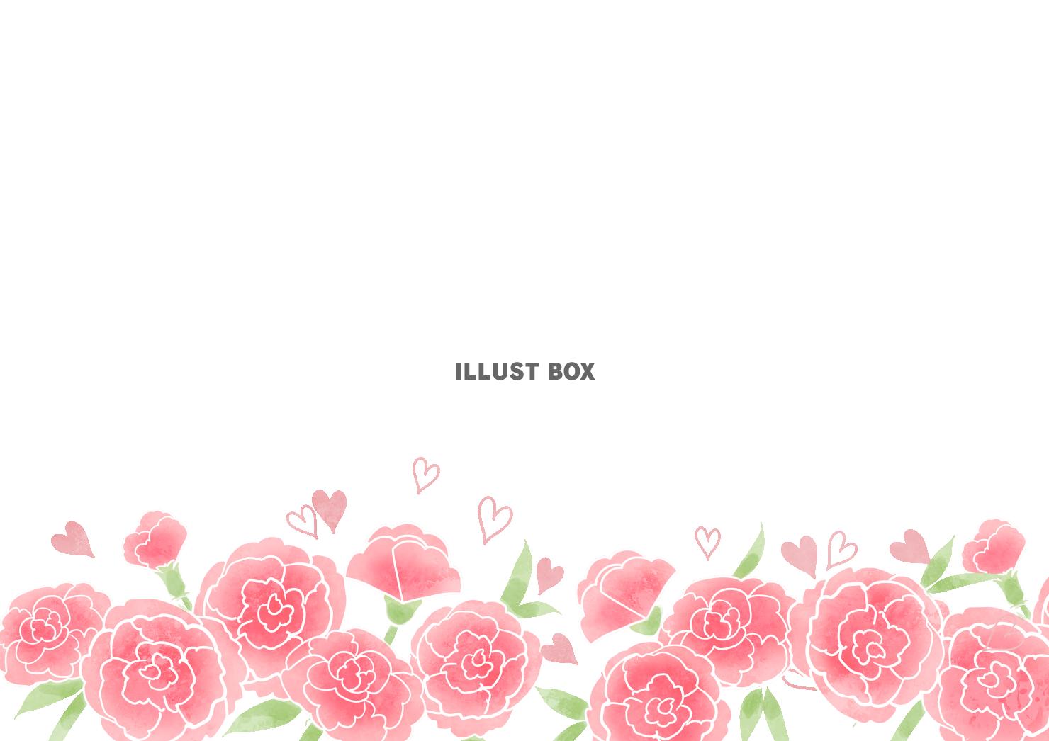 カーネーションフレーム2