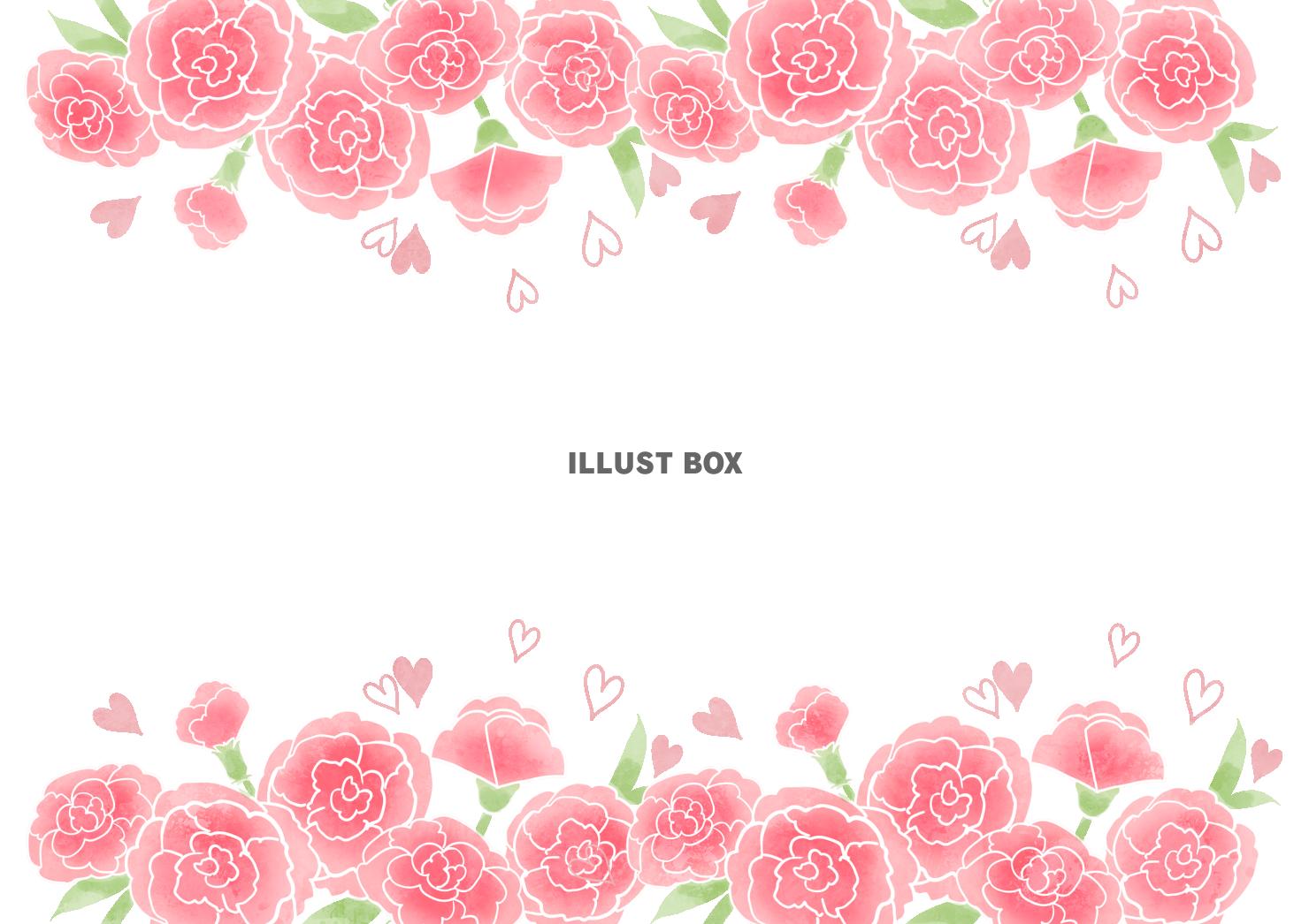 カーネーションフレーム3