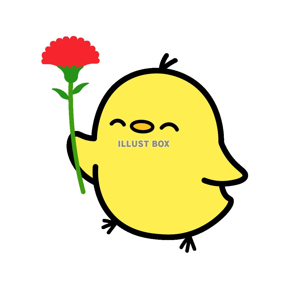 カーネーションをもつひよこ