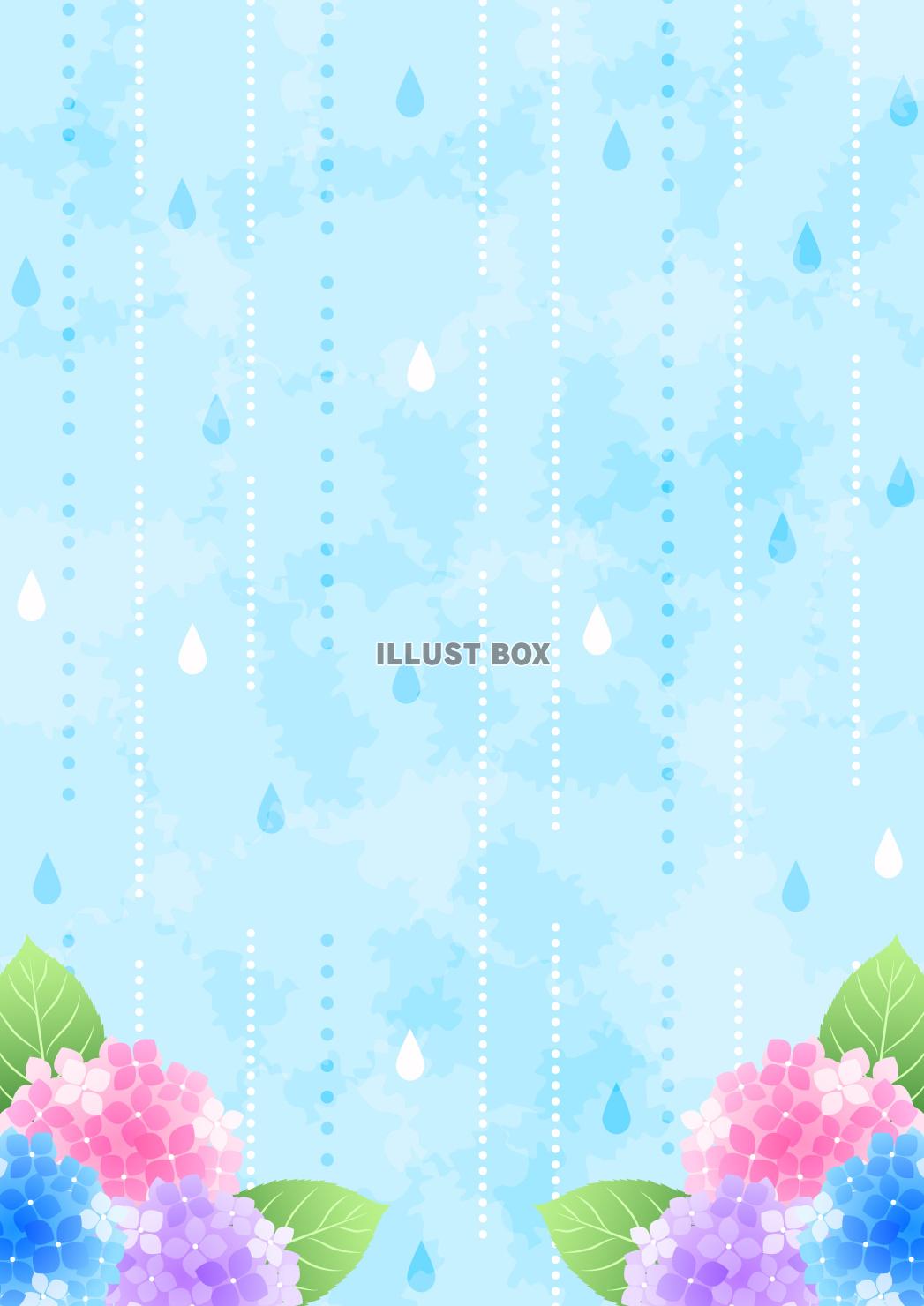 あじさい、梅雨、水彩、しずく、風景、縦