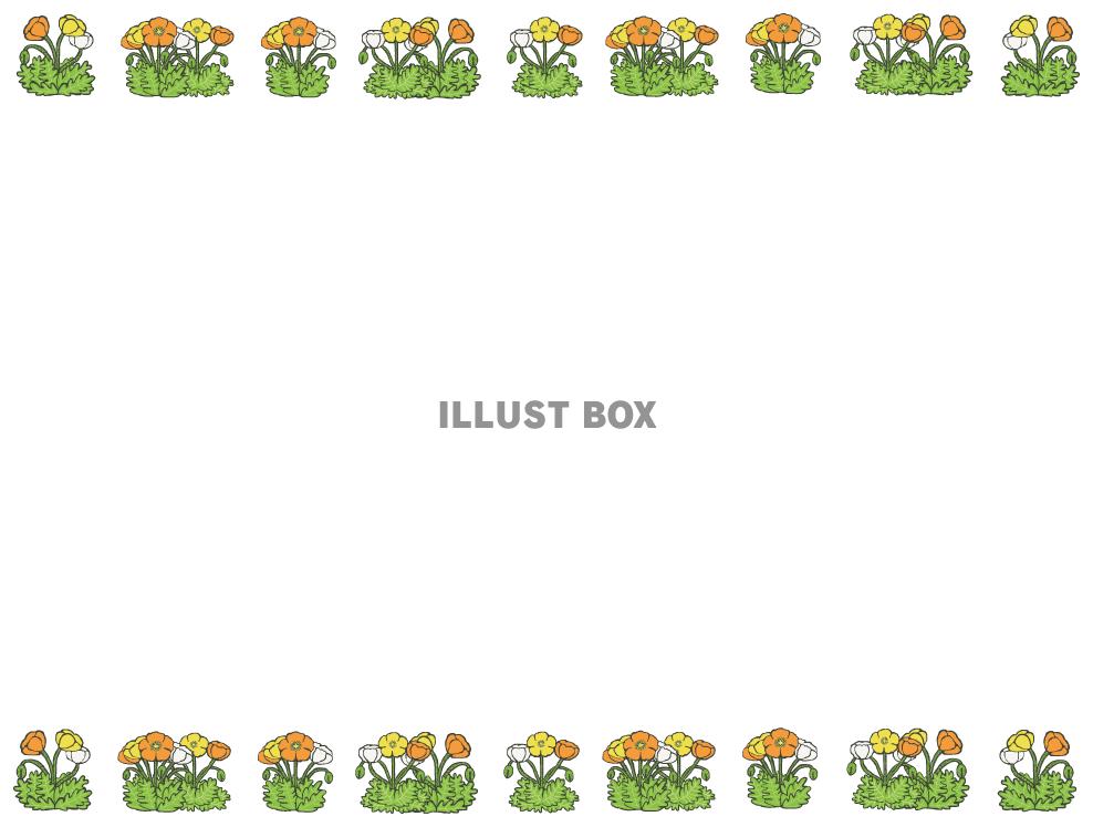 ポピーの枠フレーム(png)