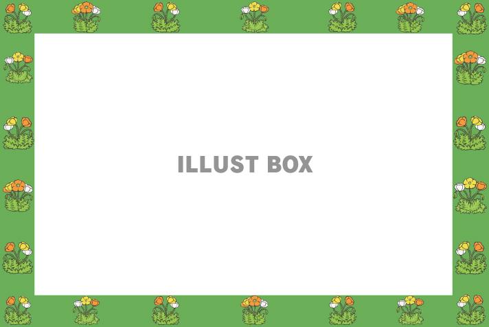 ポピーのフレーム(jpg)