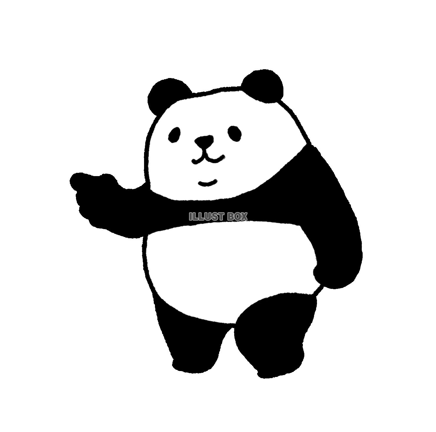 パンダシリーズ　あっちかな