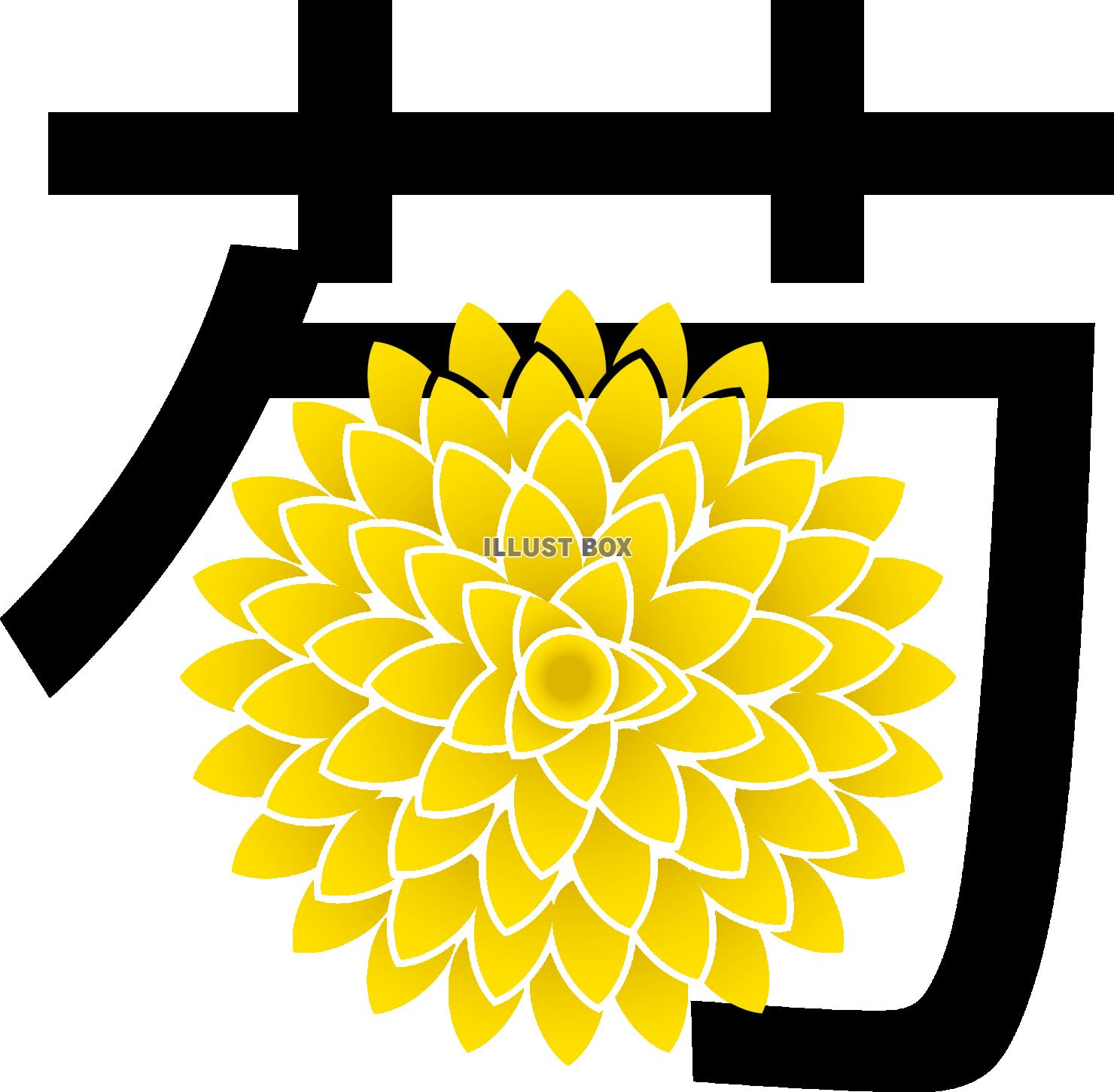  漢字　菊　の花　秋のイメージアレンジ