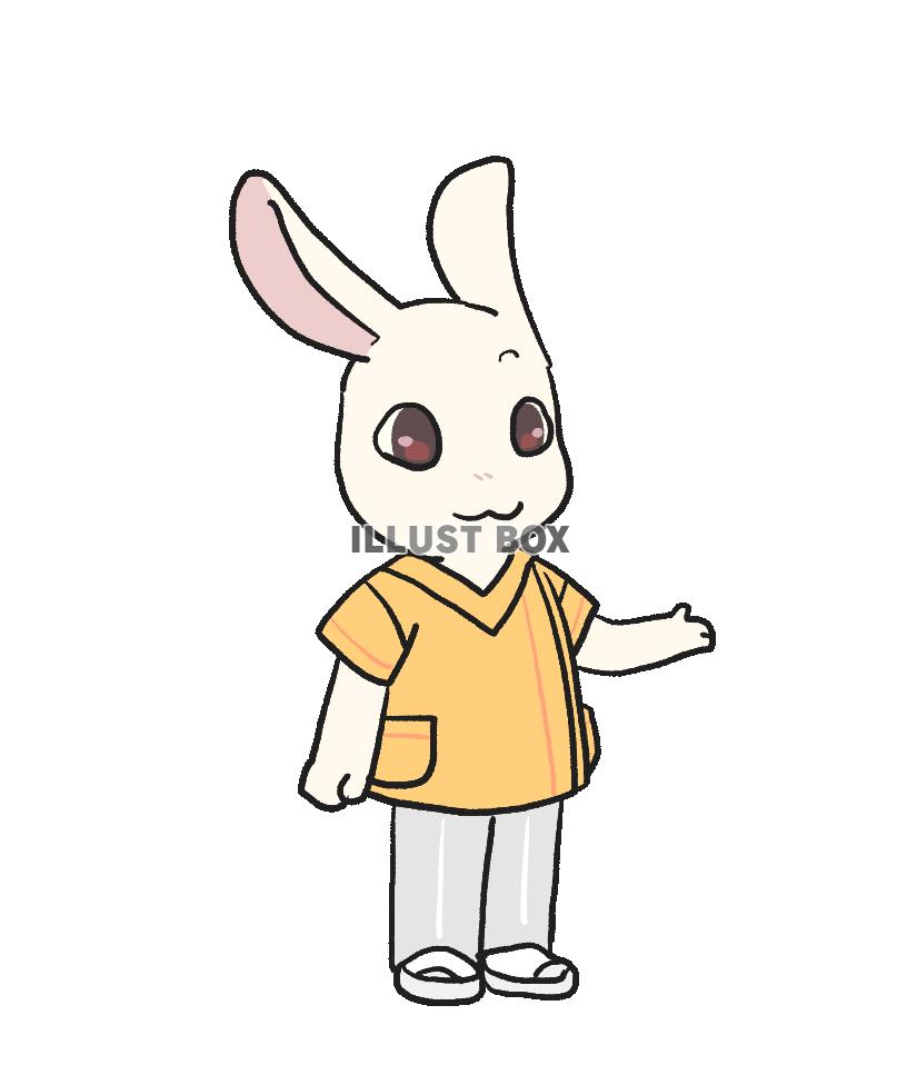 黄色のスクラブのうさぎ