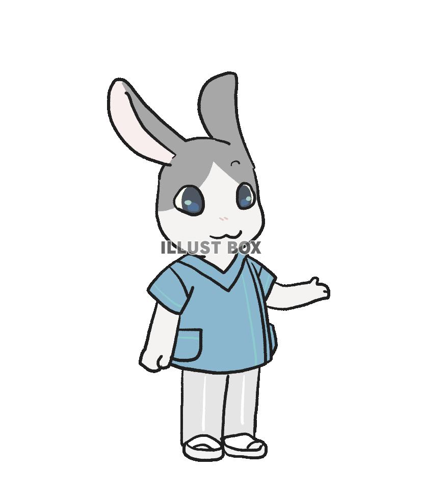 ブルーのスクラブのうさぎ
