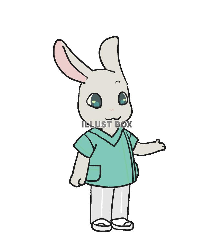 グリーンのスクラブのうさぎ
