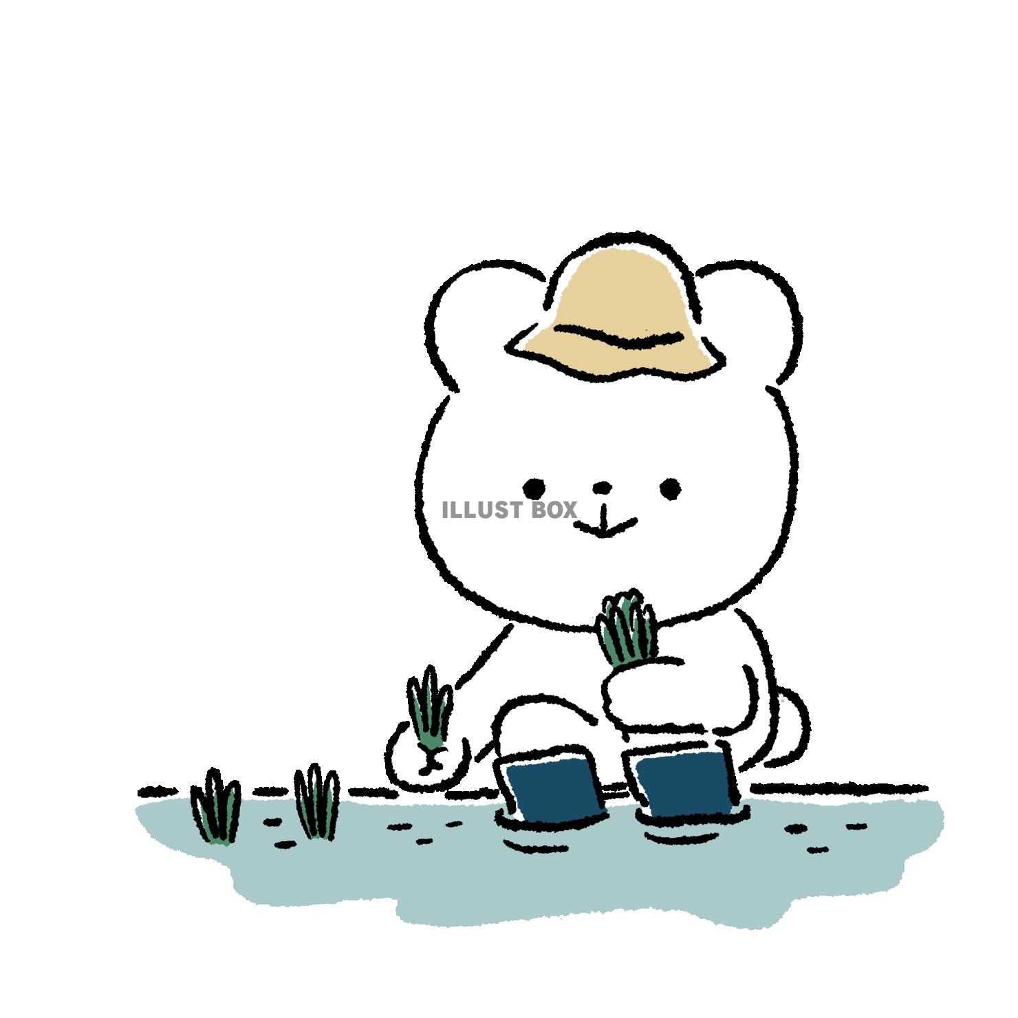 田植えをするくま