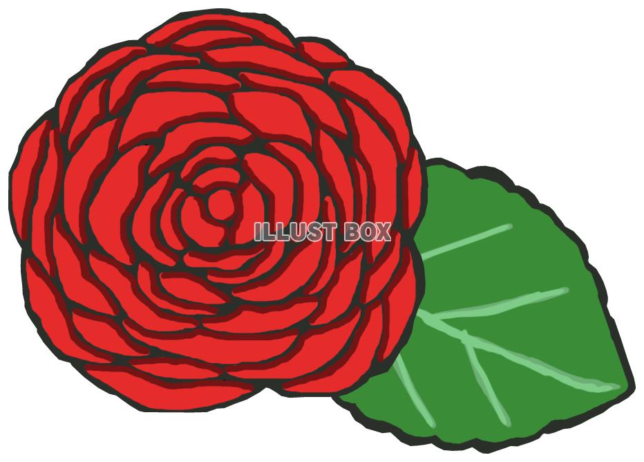 薔薇(赤 葉っぱあり)png