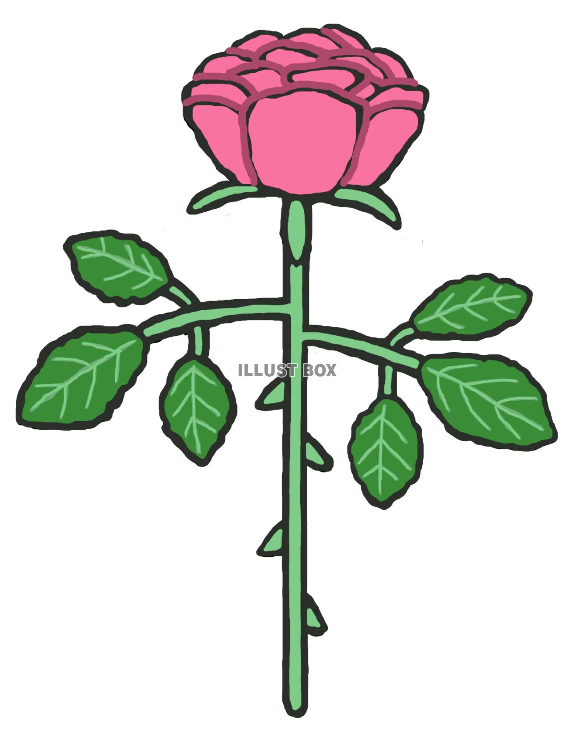 薔薇(1束 ピンク)png