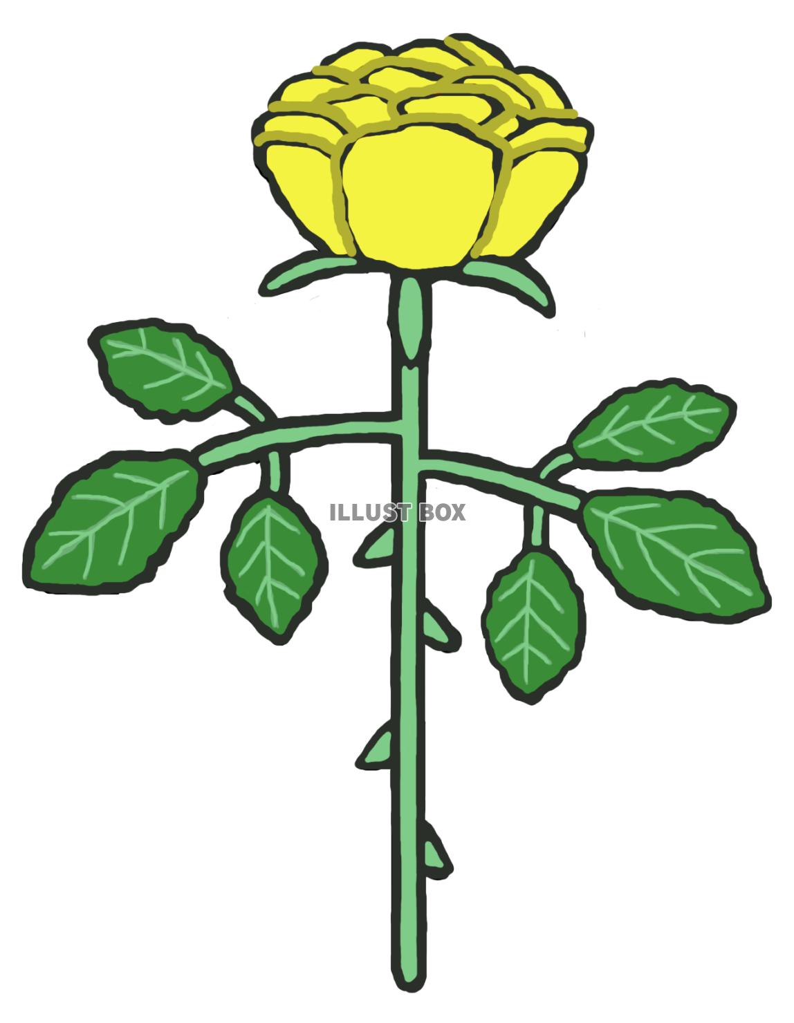 薔薇(1束 黄色)png
