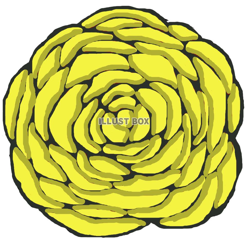 薔薇(花 黄色)png