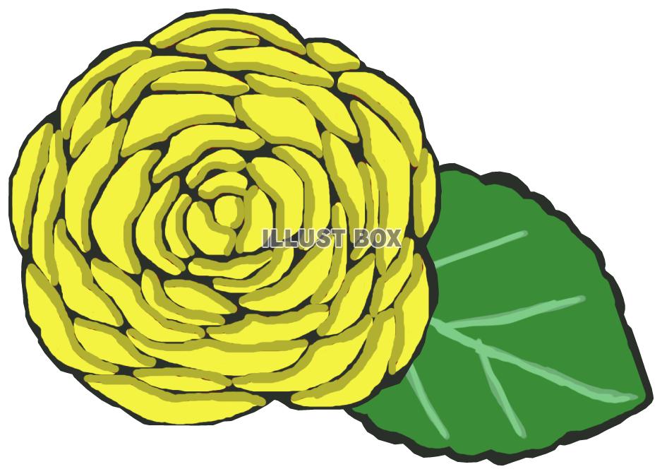 薔薇(黄色 葉っぱあり)png