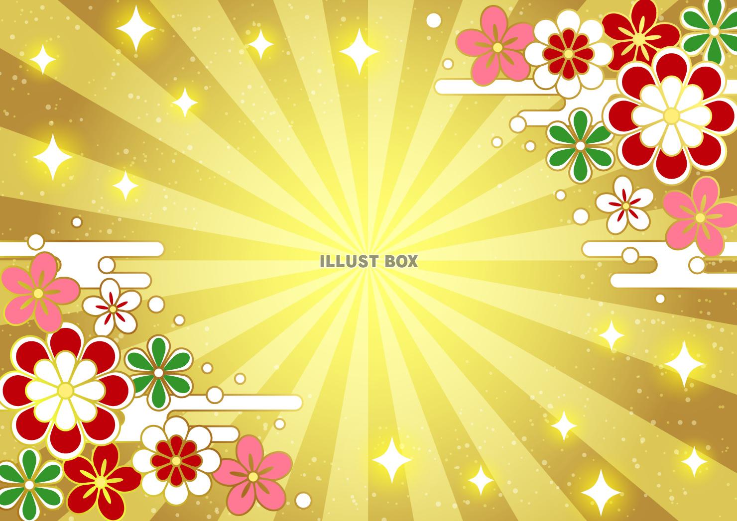 文様花、和風、梅、桜、菊、集中、横、金色