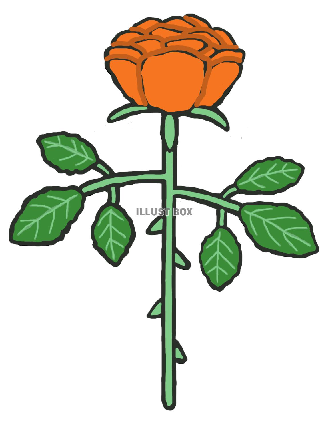 薔薇(1束 オレンジ)png