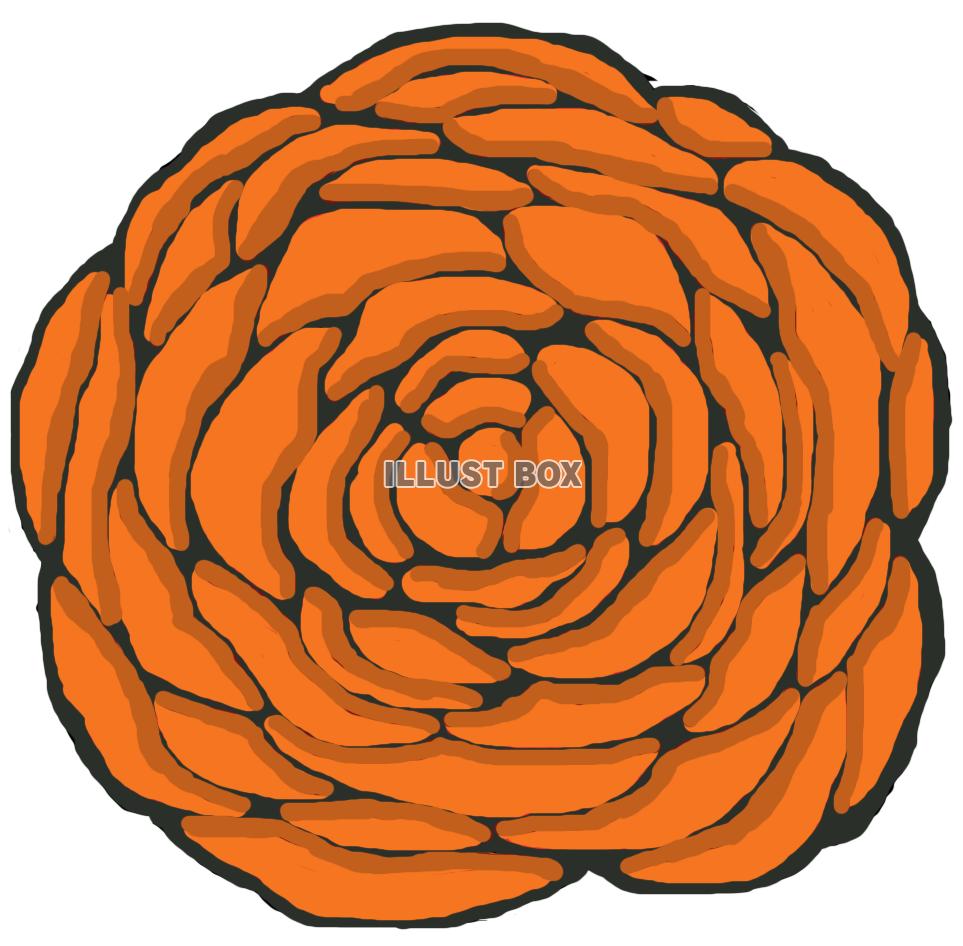 薔薇(花 オレンジ)png