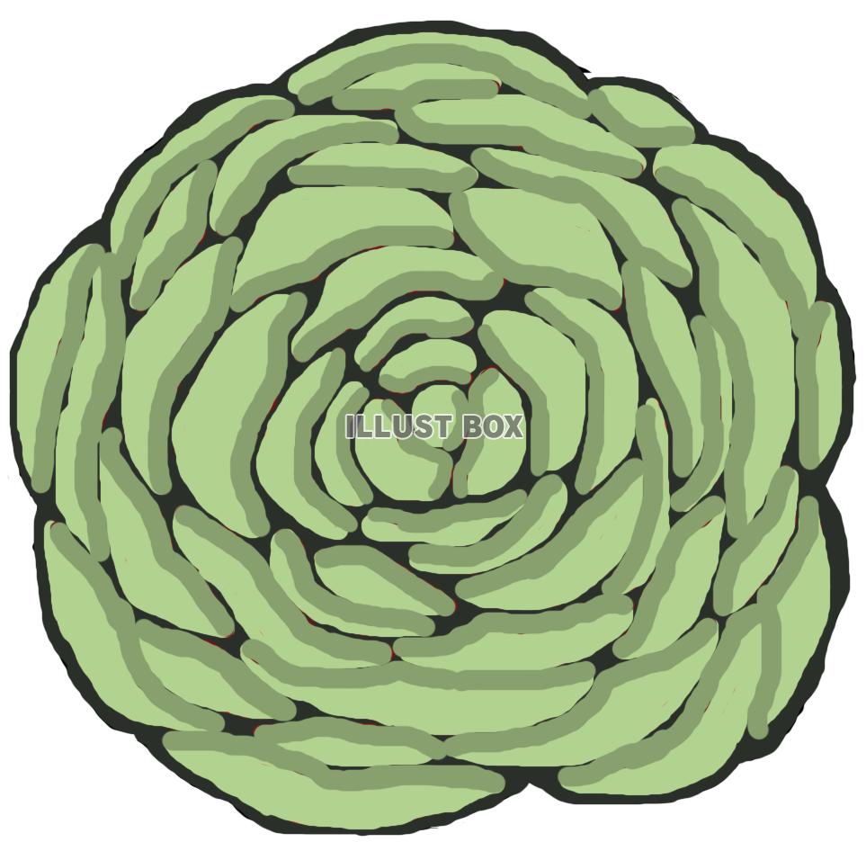 薔薇(花 緑)png