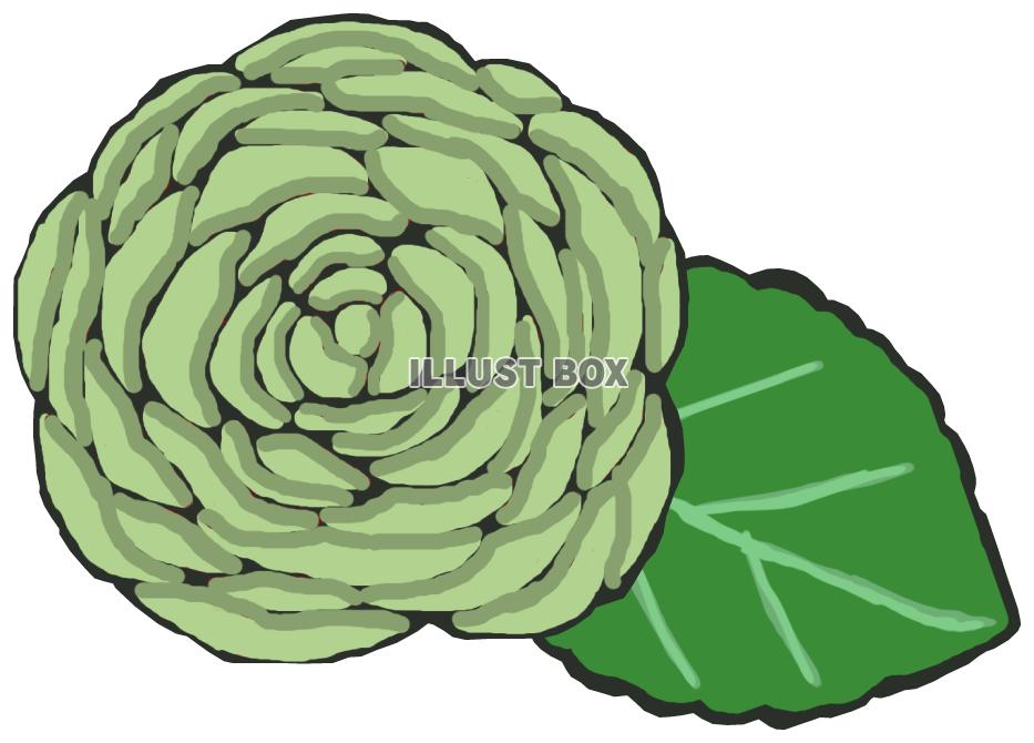 薔薇(緑 葉っぱあり)png