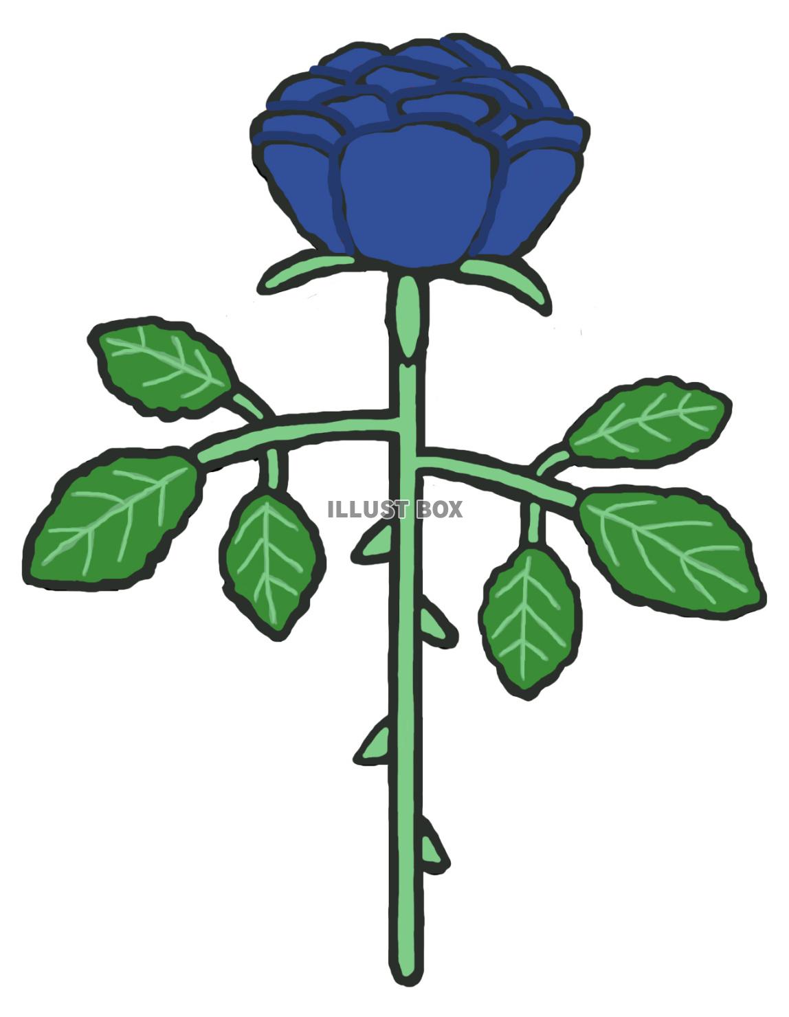 薔薇(1束 青)jpg