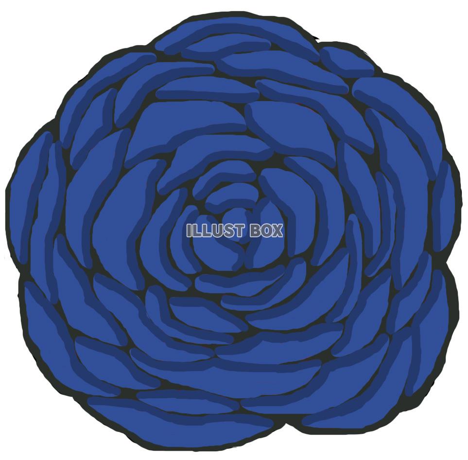 薔薇(花 青)jpg
