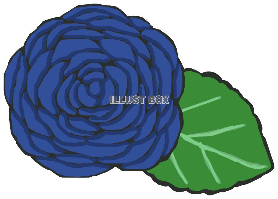 薔薇(青 葉っぱあり)jpg