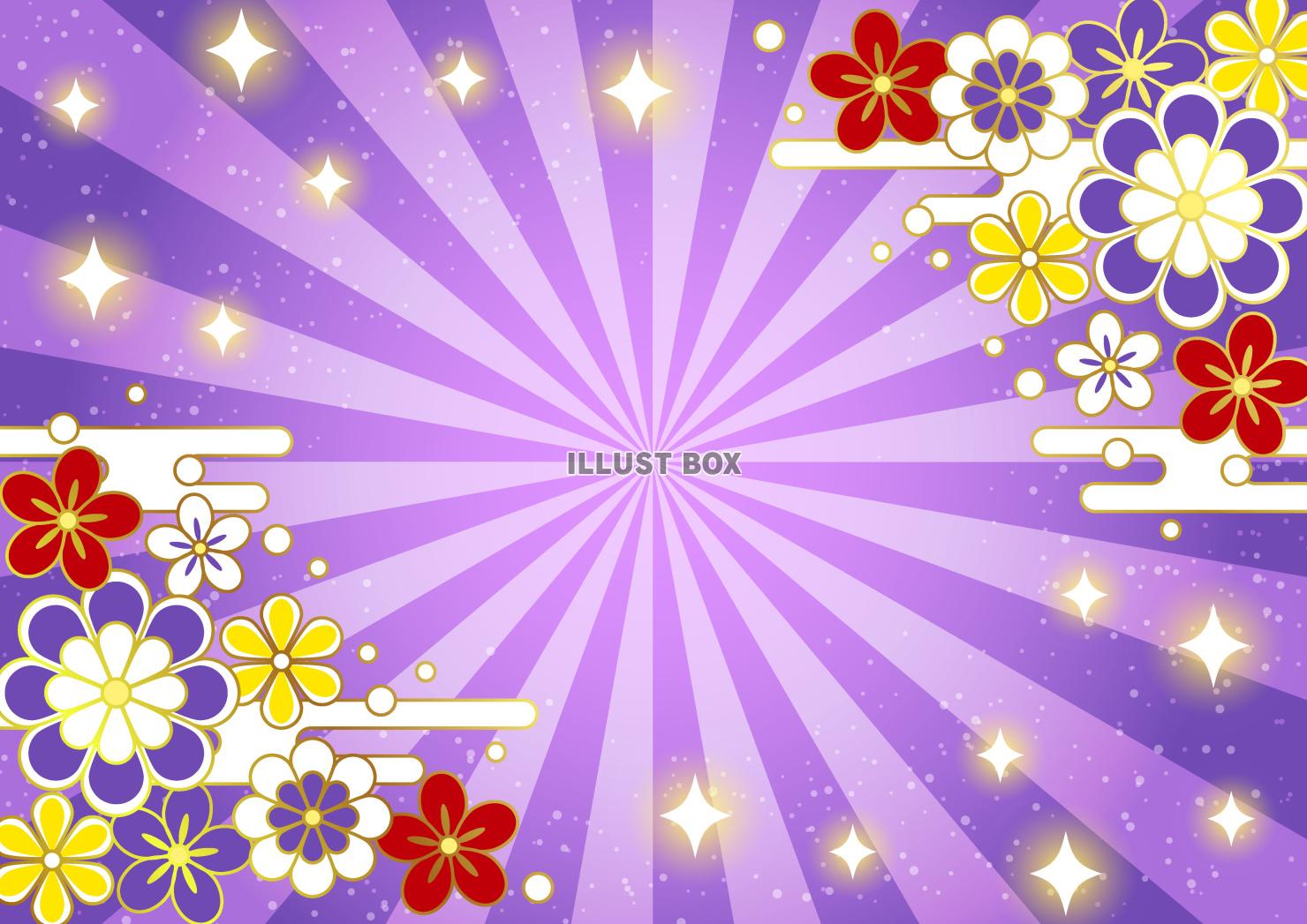 文様花、和風、梅、桜、菊、集中、横、紫