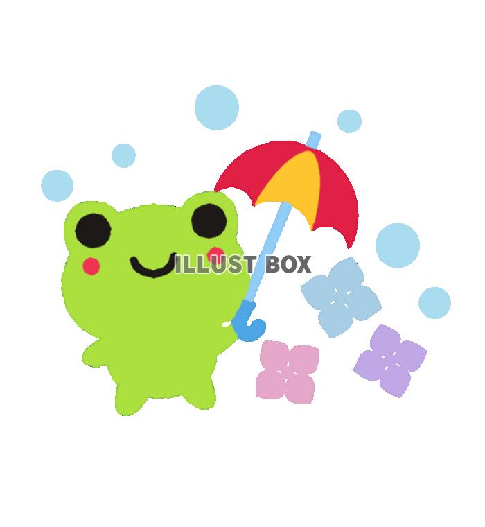 かわいい梅雨のカエル　透過png