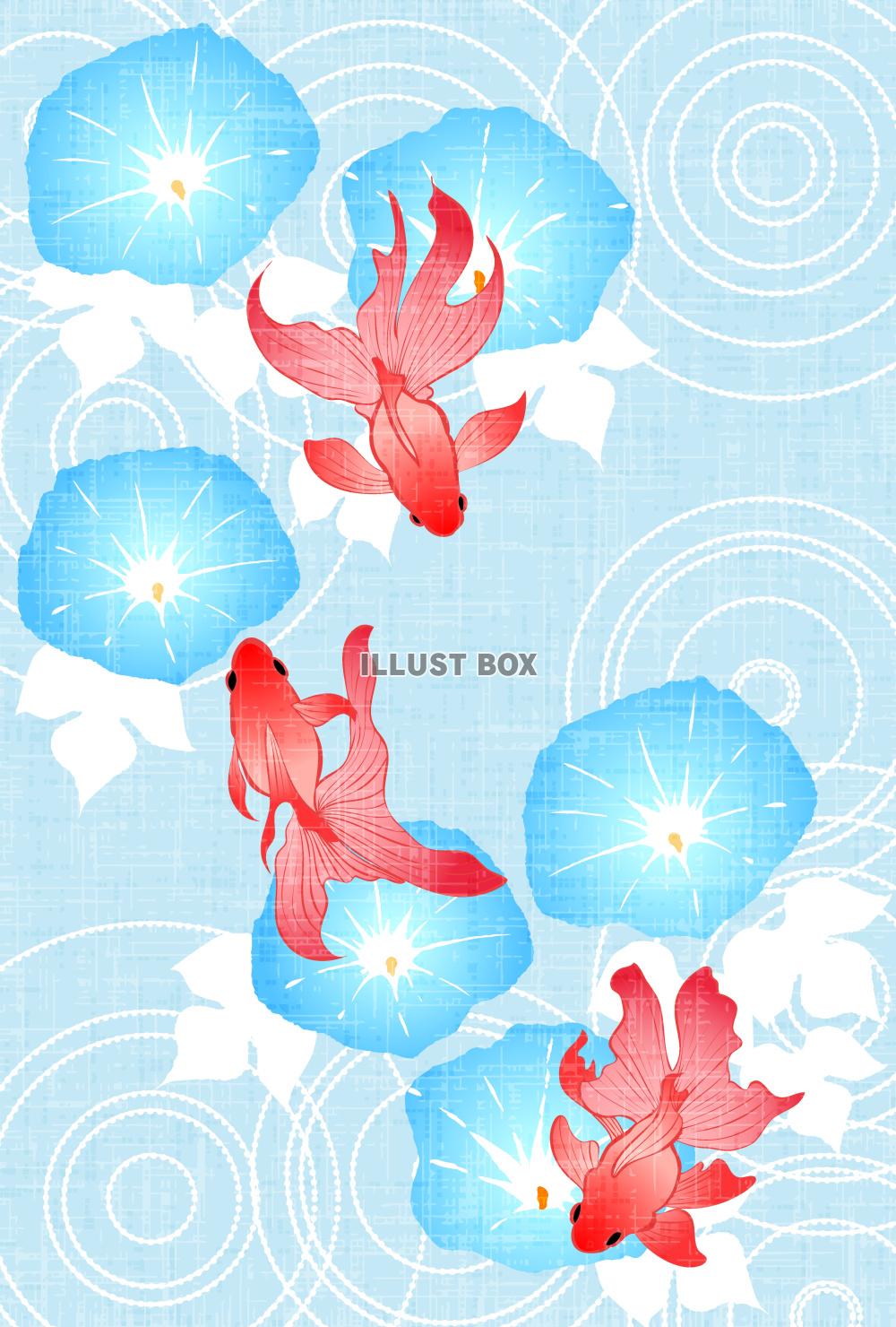 金魚、朝顔、暑中見舞い、夏、縦