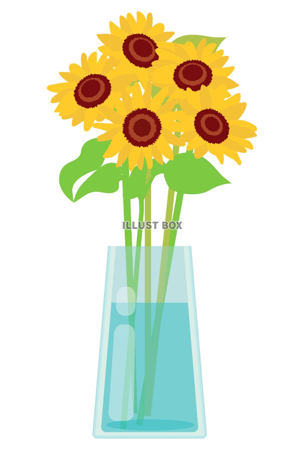 ひまわり ガラス 花瓶  夏 父の日 1