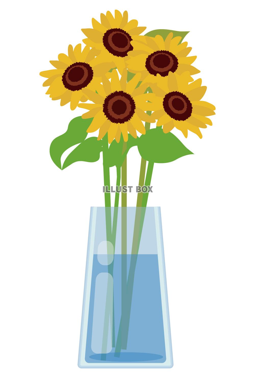 ひまわり ガラス 花瓶  夏 父の日 2