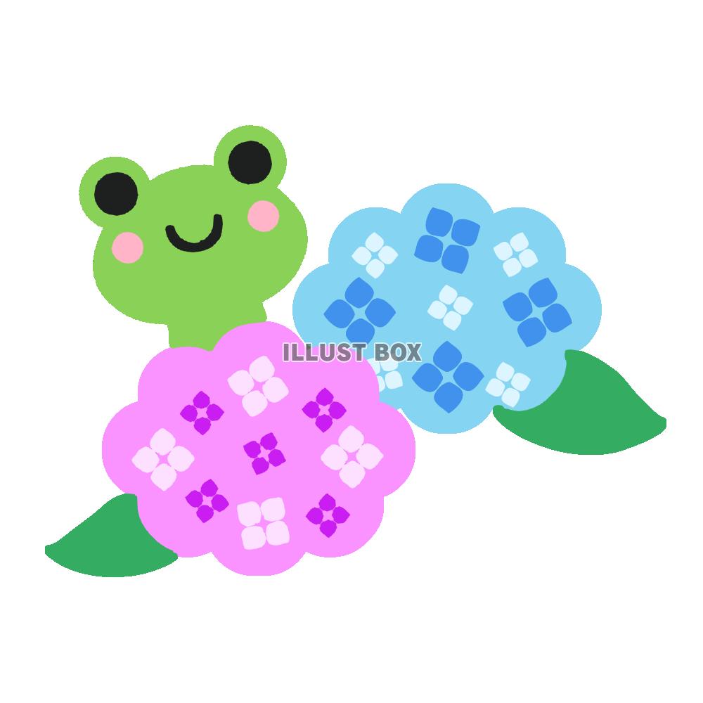 かわいいカエルとあじさい　透過png