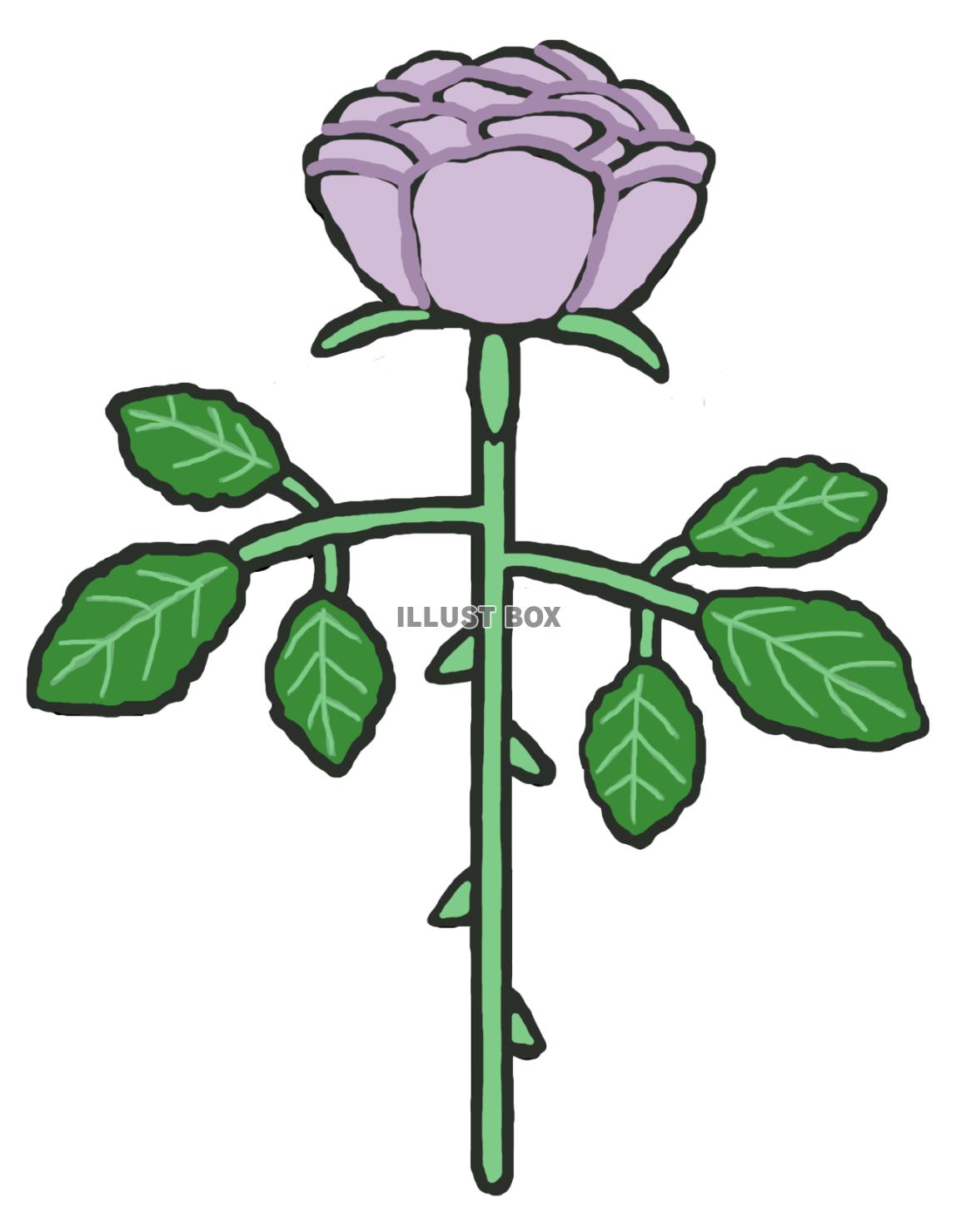 薔薇(1束 紫)png