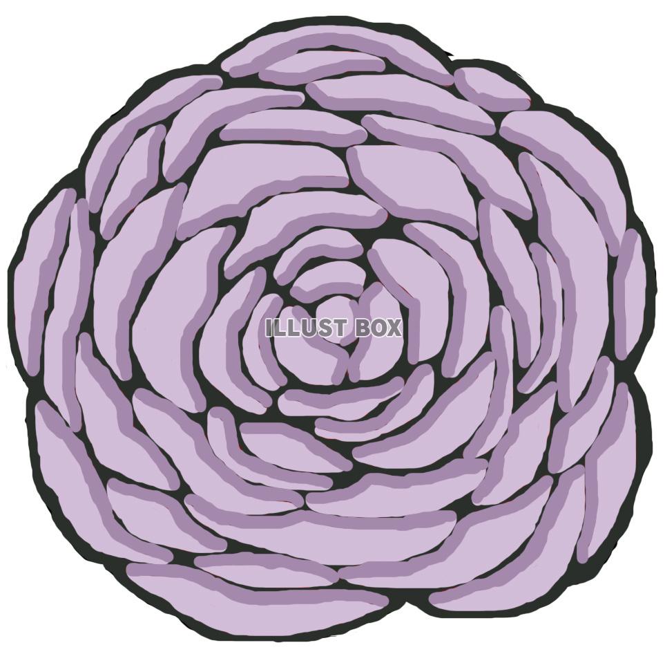 薔薇(花 紫)jpg