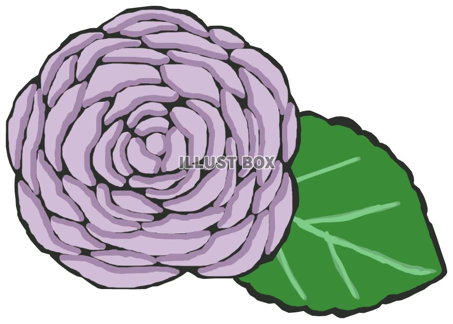 薔薇(紫 葉っぱあり)png