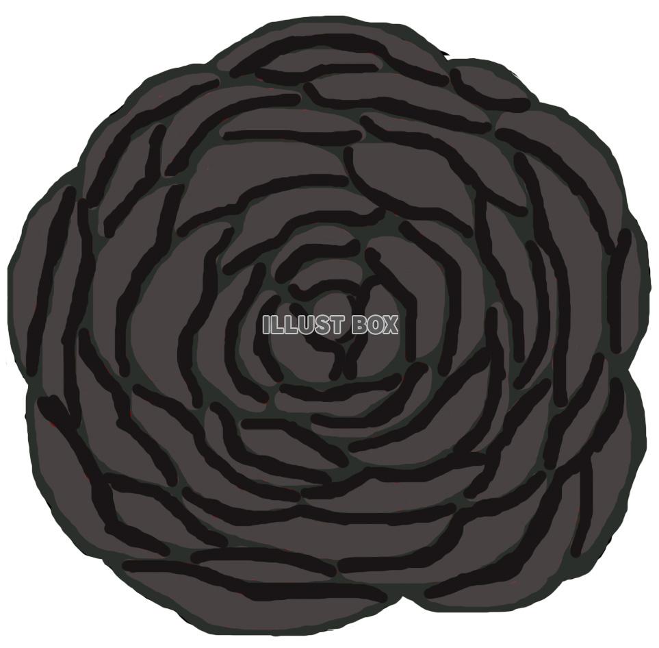黒薔薇(花)jpg