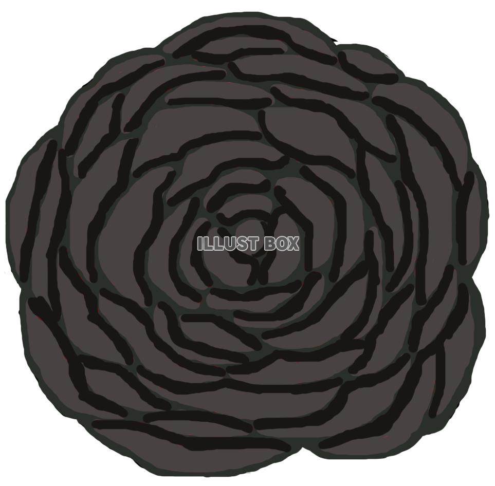 黒薔薇(花)png
