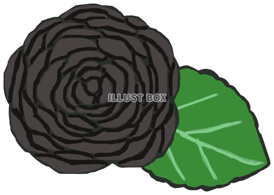 黒薔薇(葉っぱあり)png
