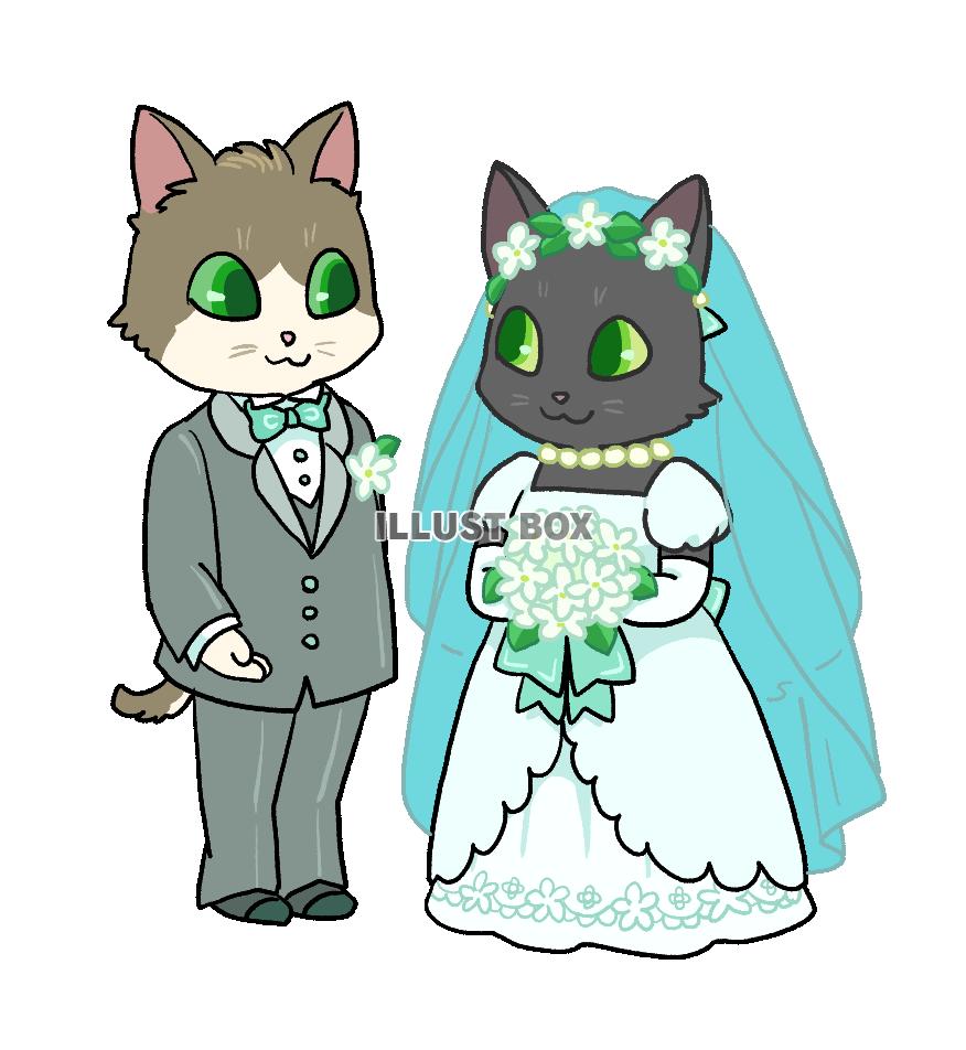 ウエディング・新郎新婦姿の猫