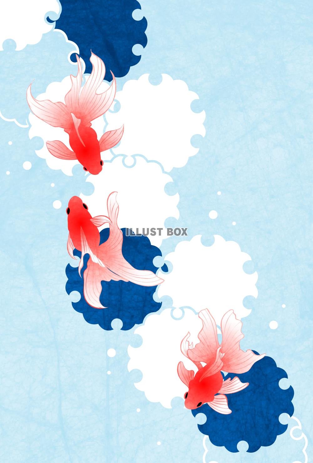 金魚、雪輪、暑中見舞い、水色、横