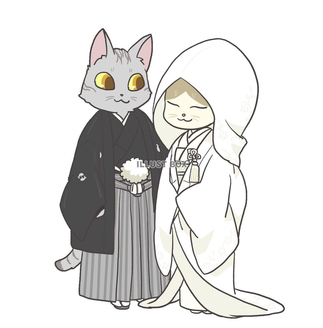 結婚式・新郎新婦姿の猫
