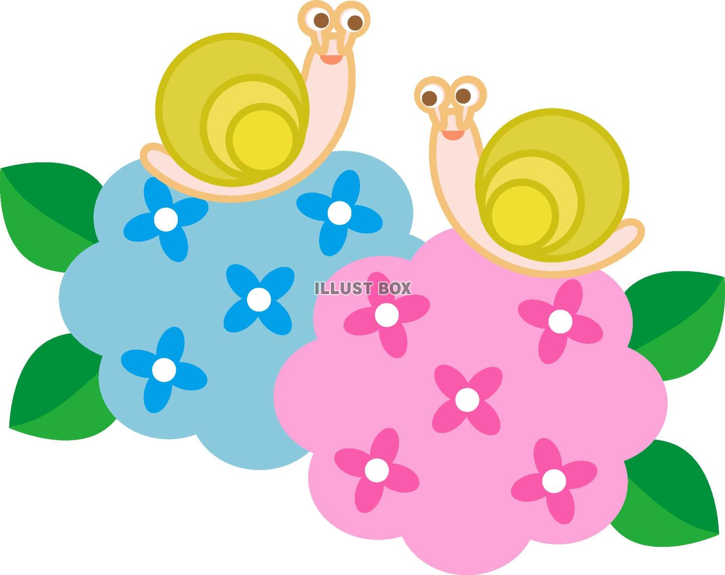 カタツムリとあじさいの花