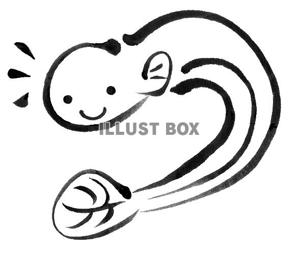 筆絵のウナギ１