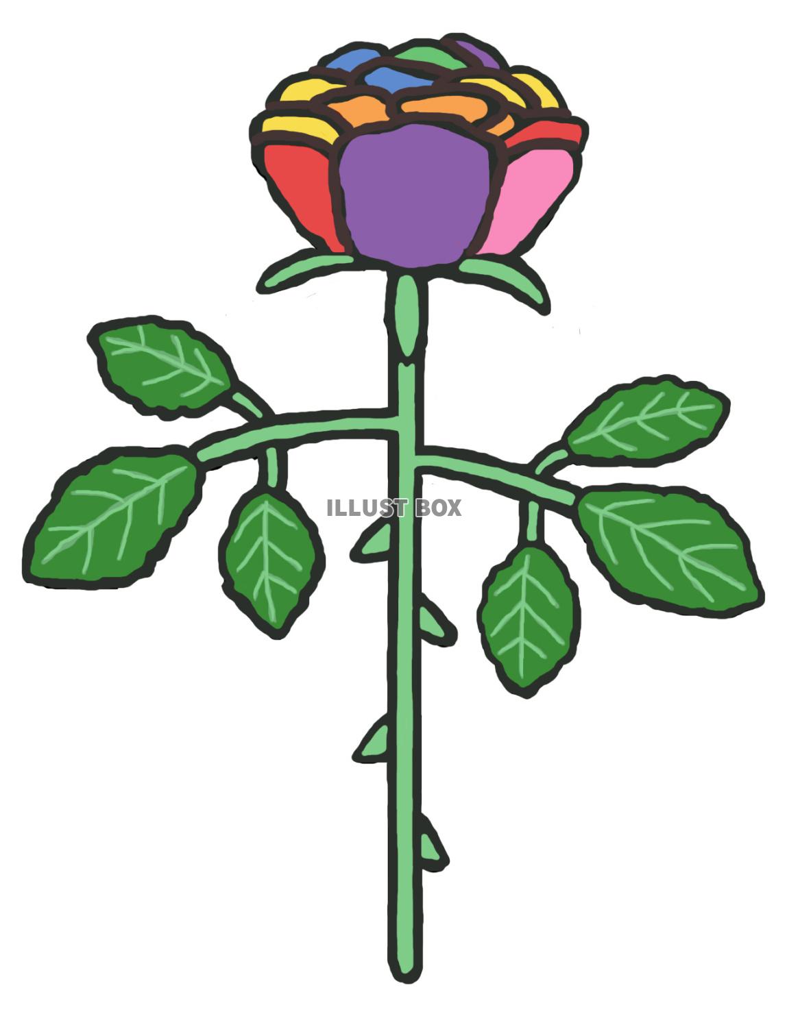 薔薇(1束 虹色)jpg