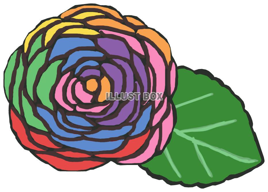 薔薇(虹色 葉っぱあり)jpg