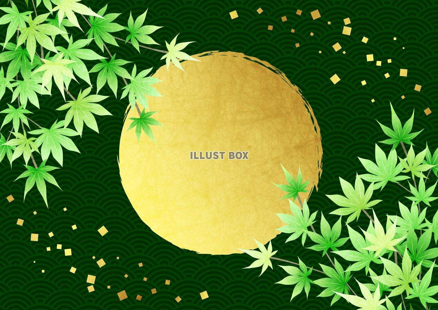 金箔、丸、青紅葉、和柄、緑、夏、横